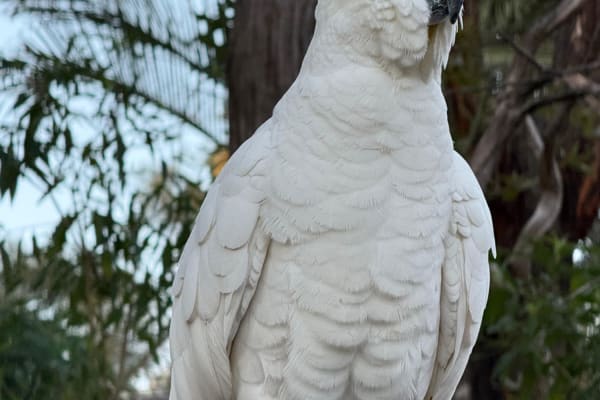 Photo by Erwin Van Den Bosch