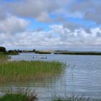 Photo by Matthias H.