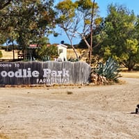 Photo by Coodlie Park Eco Retreat