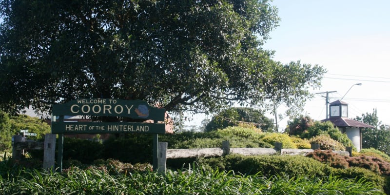 Photo by Danielle T.