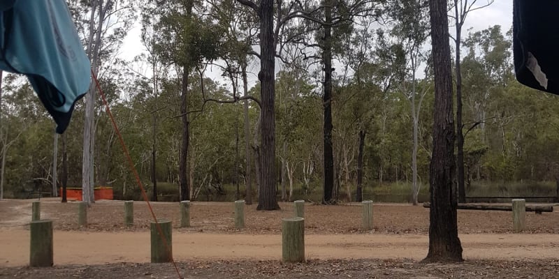 Photo by A couple with a Collie ❤