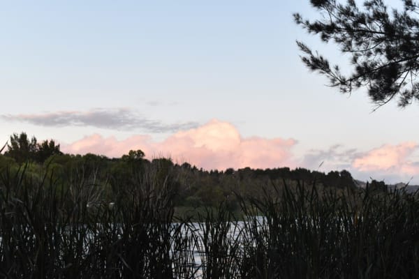 Photo by algebuckina