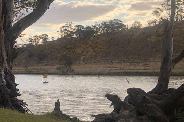 Photo by Amanda Jain Hornett