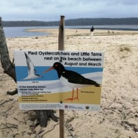 Photo by Ahmad Musa Ababneh