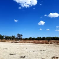 Photo by My Rig Adventures