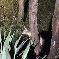 Photo by Erwin Van Den Bosch