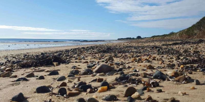 Photo by Guest.Relations