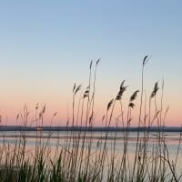 Photo by Catarina A.