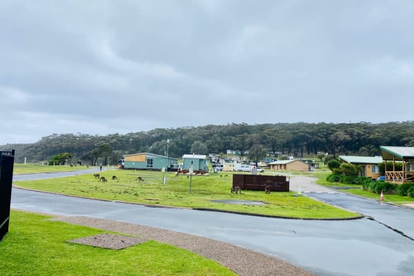 Photo by Krishantha E.