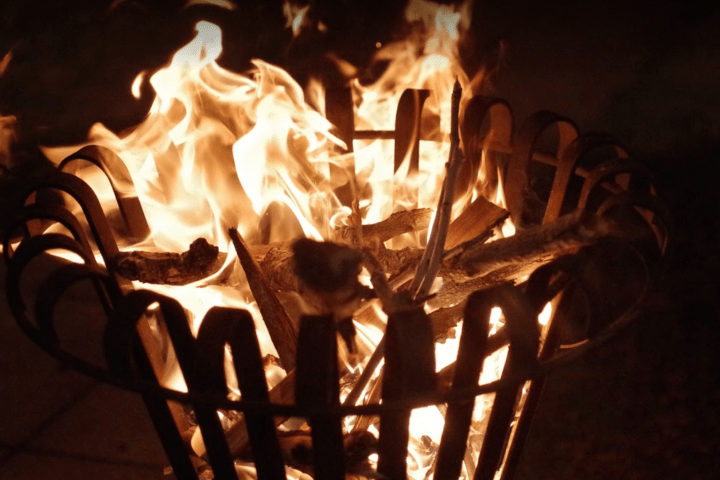 Photo by Margaret S.