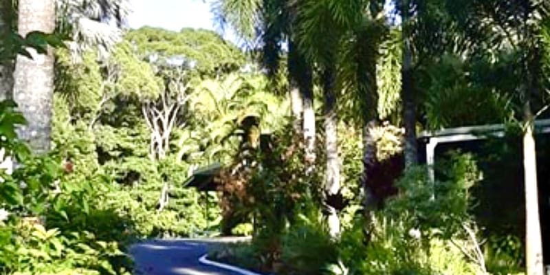 Photo by Sharlene K.