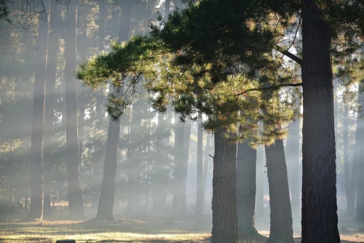 Photo by Brucethegoose