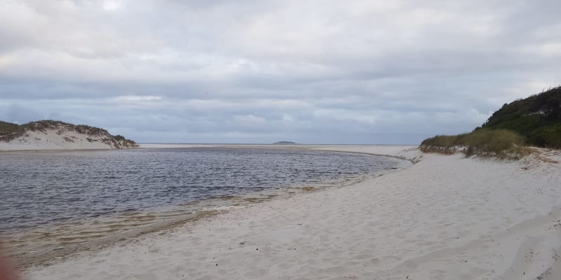 Photo by Carolyne H.