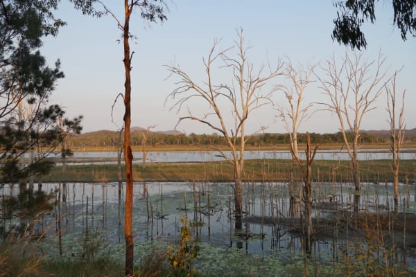 Photo by Kimberley B.