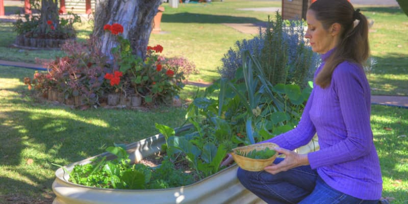 Photo by Guest.Relations