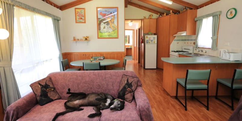 Photo by [deleted user]