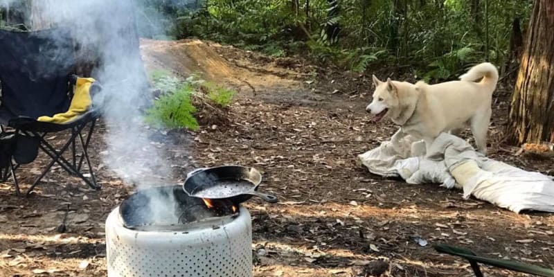 Photo by Jodie Roadster Campny