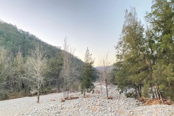 Photo by Catherine M.