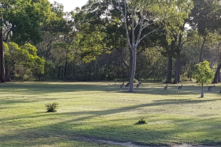 Photo by Deepwater Hideaway Farm Camp Stay