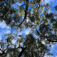 Photo by Jung Sun Lee