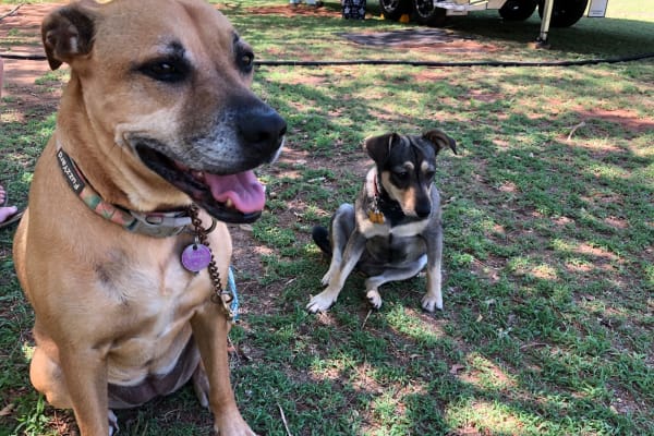 Photo by Marcia Christine Baker