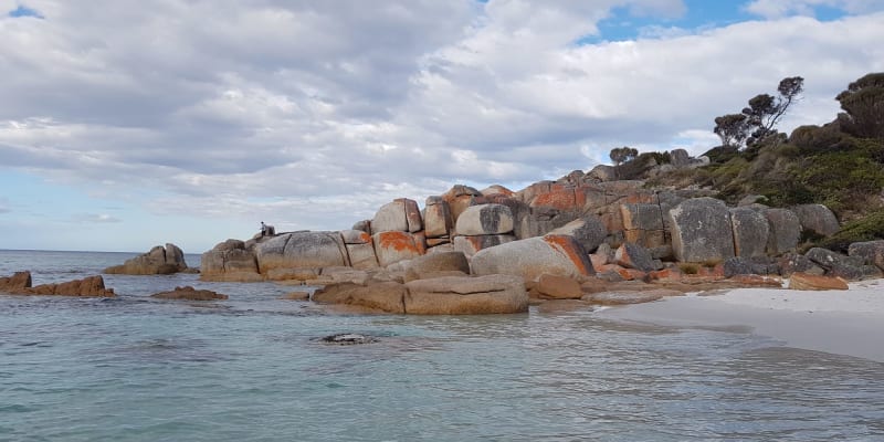 Photo by Christopher H.