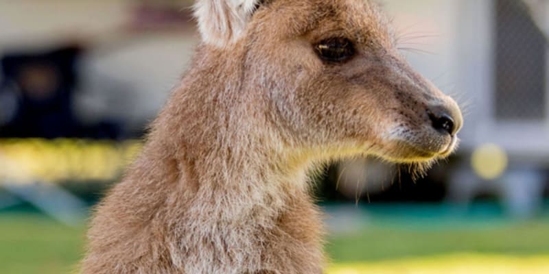 Photo by Marketing T.