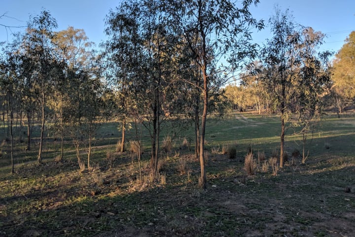 Photo by Nicholas T.