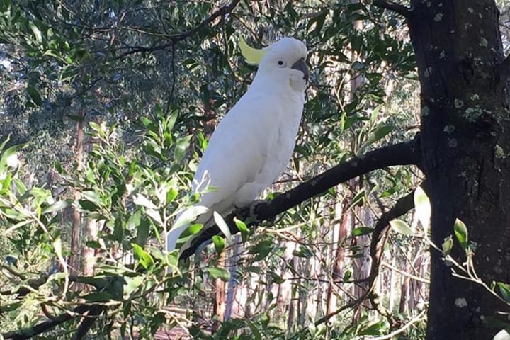 Photo by Muhammad T.