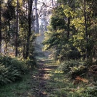 Photo by Brucethegoose