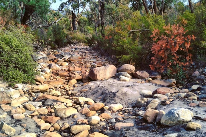 Photo by Bronskilala