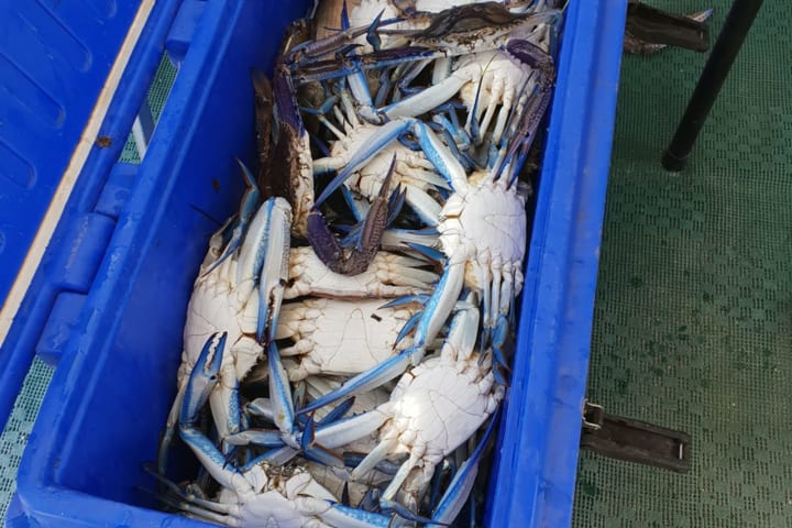 Photo by Yvette & Gavin Bright