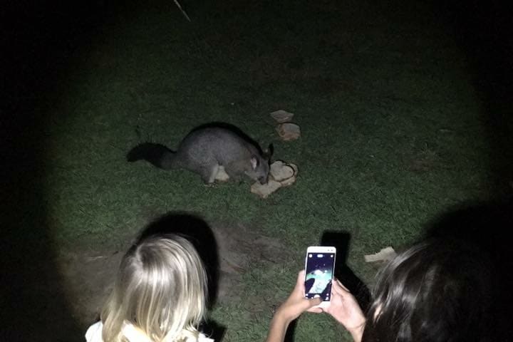 Photo by Tracy N David Ross