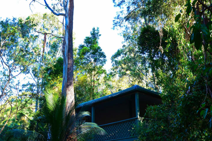 Photo by Hidden Creek Campsite