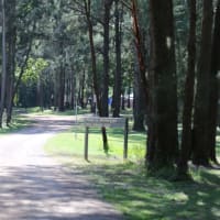 Photo by Krishantha E.