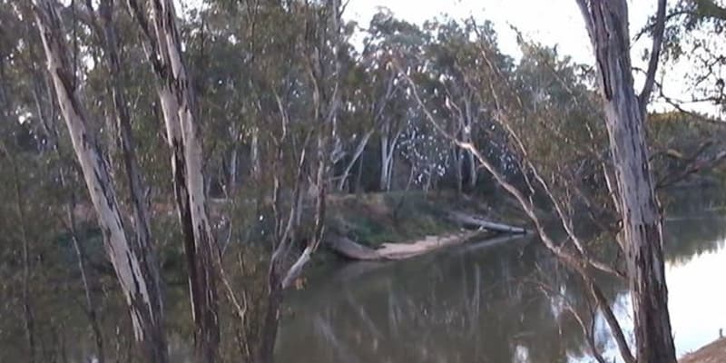 Photograph of 10 campgrounds with cabins near Tostaree, VIC