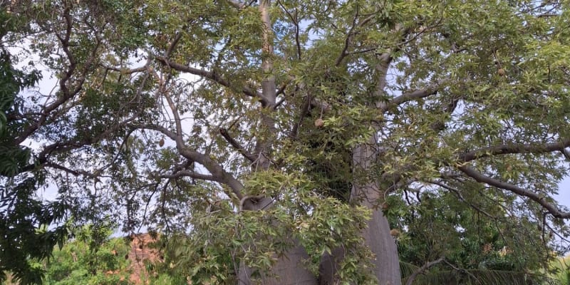 Photo by Christina P.