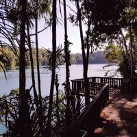 Photo by My Rig Adventures