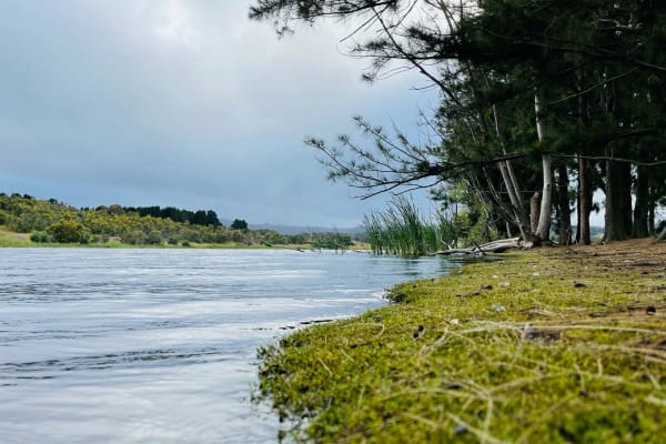 Photo by Nattaporn B.