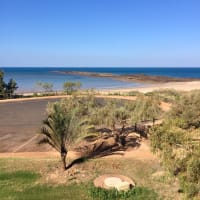 Photo by Kim & Shane