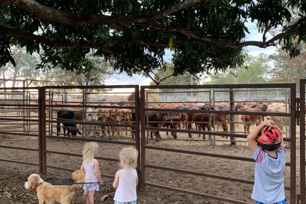 Photo by Corporate to Caravan