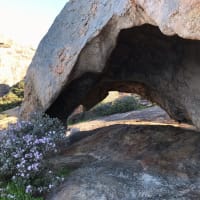 Photo by Rocío Labbé Cerda