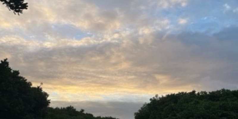 Photo by Ben + Elana