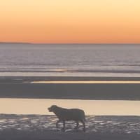 Photo by Kristine H.