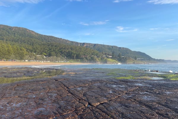 Photo by Marjolein R.