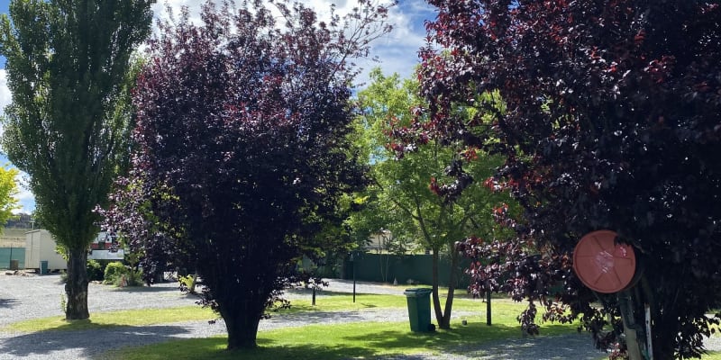 Photo by Barry and Di O'Connor