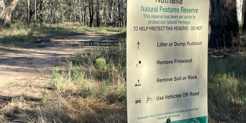 Photo by DaveDuff    CampInNature