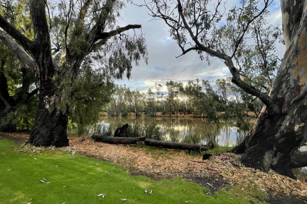 Photo by Heidi Louise Luckhurst