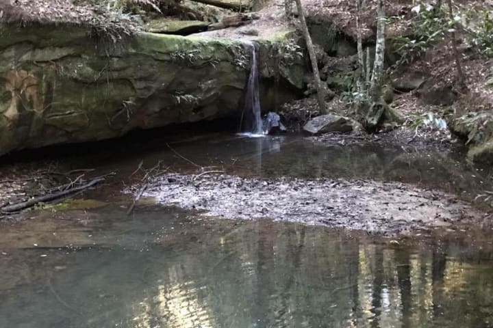 Photo by Jodie Roadster Campny