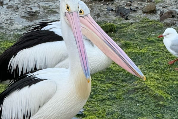 Photo by Dtravellers